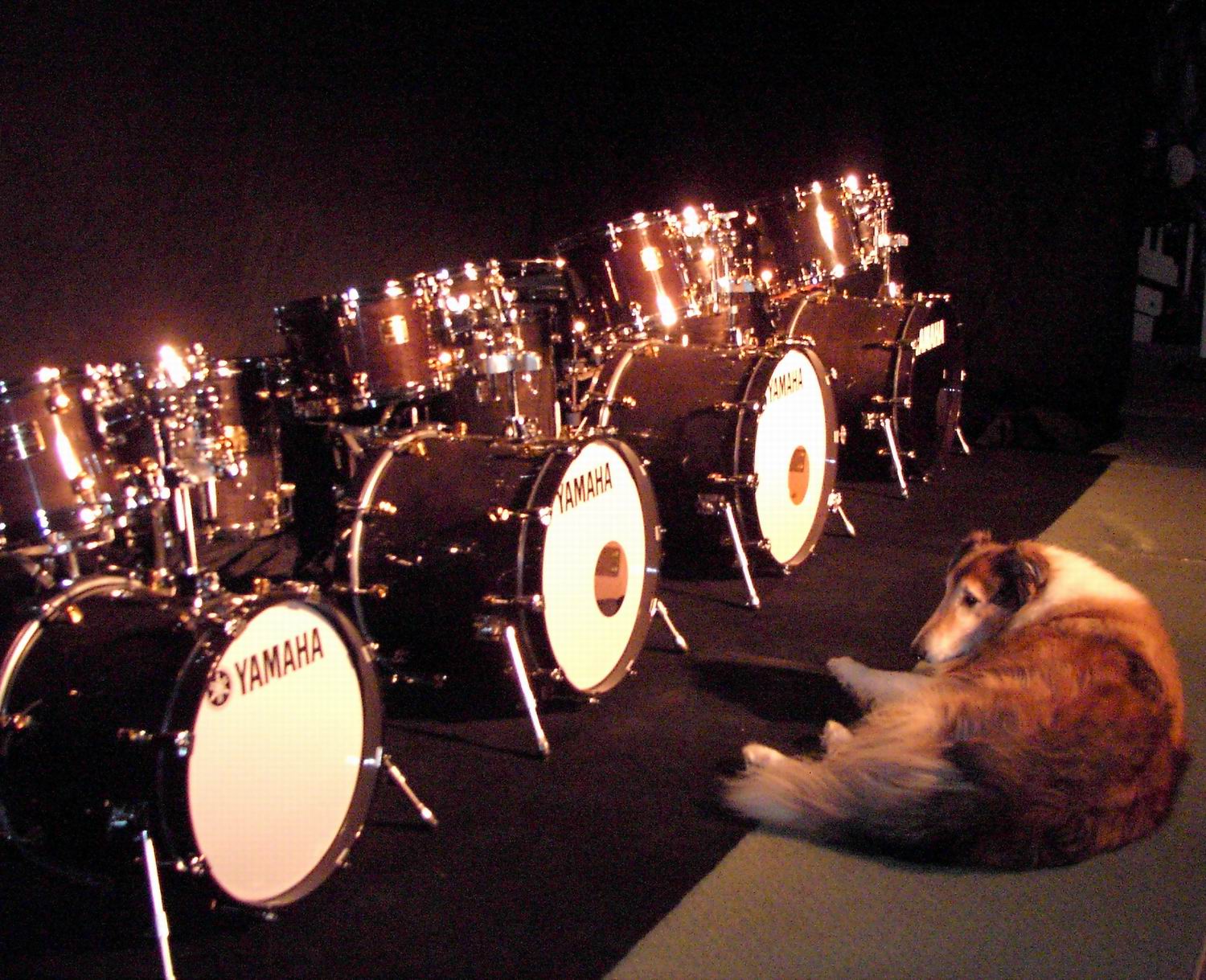 Intellasound / Herc with his Yamaha kits 